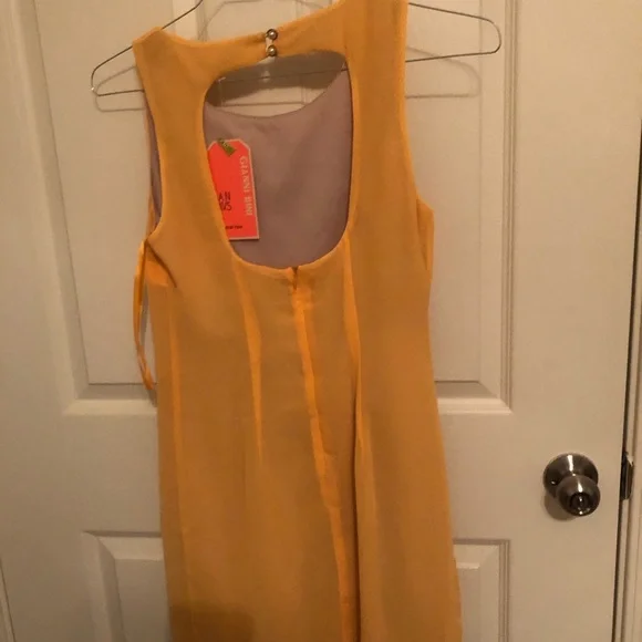 Golden-rod yellow Gianini Bini dress with beautiful embroidery.(New with tags) - Picture 2 of 3